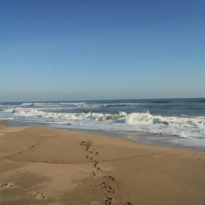 Bezoek en verblijf in Vendres-Plage 8 Plage naturelle Vendres 1024x681 1