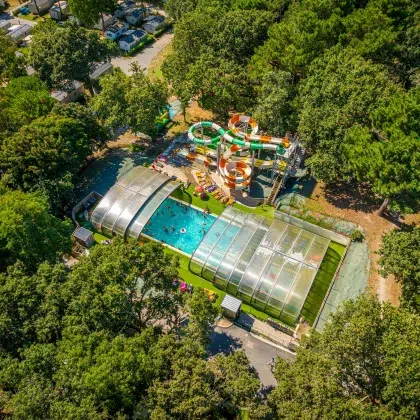 Où partir en camping sur la Côte Atlantique ? 6 ajoncs dor DJI 0042