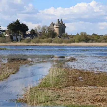 Où partir en camping sur la Côte Atlantique ? 8 ajoncs dor castle 4291114 1280 1024x682 1