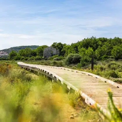 Que visiter près de Sérignan ? Les villages incontournables 9 Bois-des-Aresquiers - Vic-la-Gardiole proche Sérignan - Camping le Clos Virgile