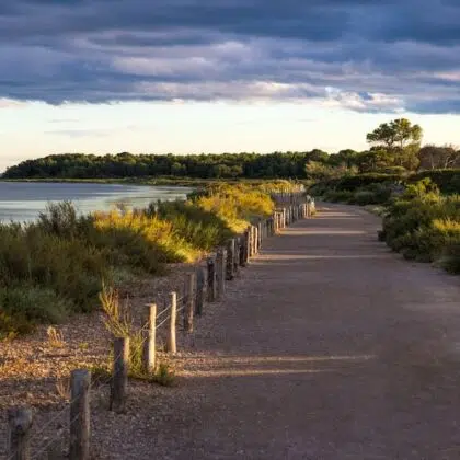 Que visiter près de Sérignan ? Les villages incontournables 10 Chemin de randonnée - Vic-la-Gardiole - Camping le Clos Virgile Sérignan