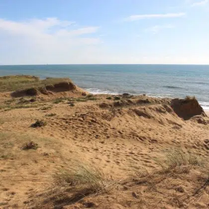 ADO plage sauveterre