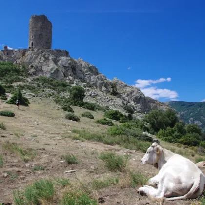 6 Chemin de randonnee a la Tour Massane - Camping Argeles sur Mer Beauséjour