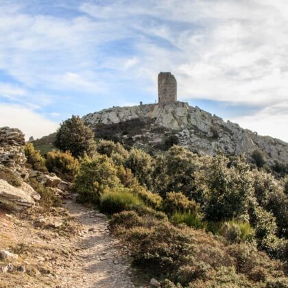Tour de la Massane 6 Tour Massane - Pyrenees-Orientales - Camping Argeles-sur-Mer