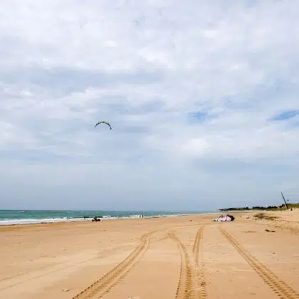 Sorties familiales sur l'île d'Oléron 7 ALENTOURS OLERON 2