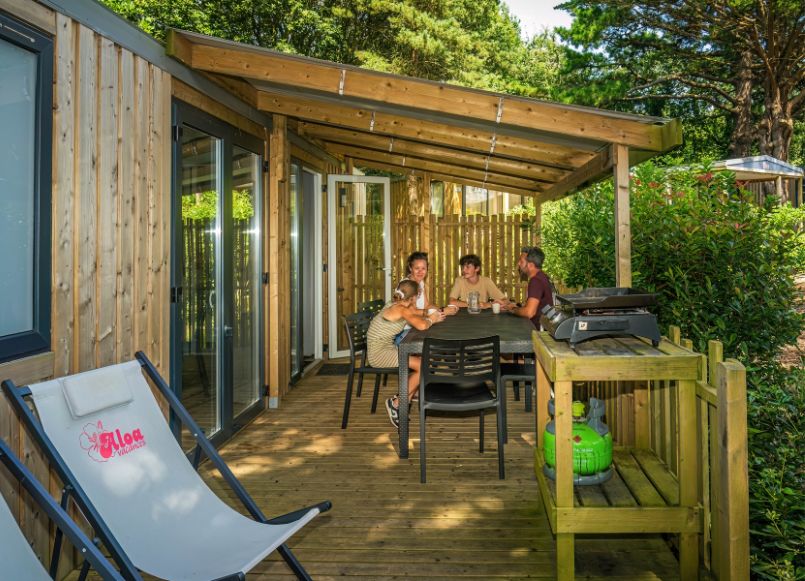 Ajoncs d'Or à la Baule