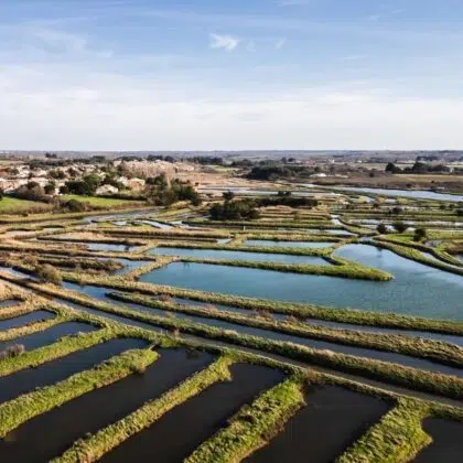 Plus beaux villages à découvrir autour des Sables d’Olonne 18 drone view of the salt marshes of Ile d Olonne, Vendee, France on a winter day in good weather