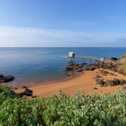 AdobeStock 503628132 1