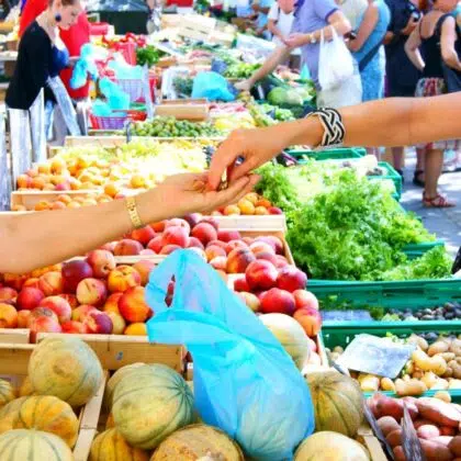 marche olonne sur mer