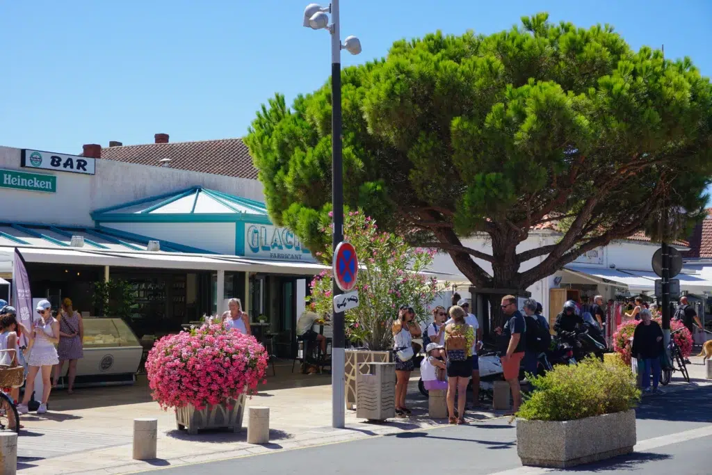 alentours 1