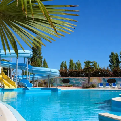 espace aquatique chat 1